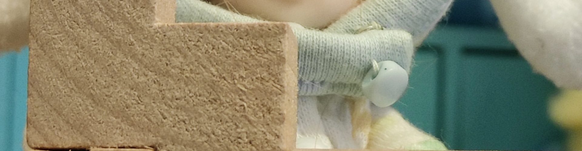 Fotografías graciosas